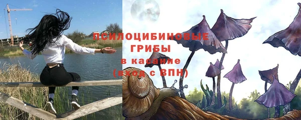 a pvp Алзамай